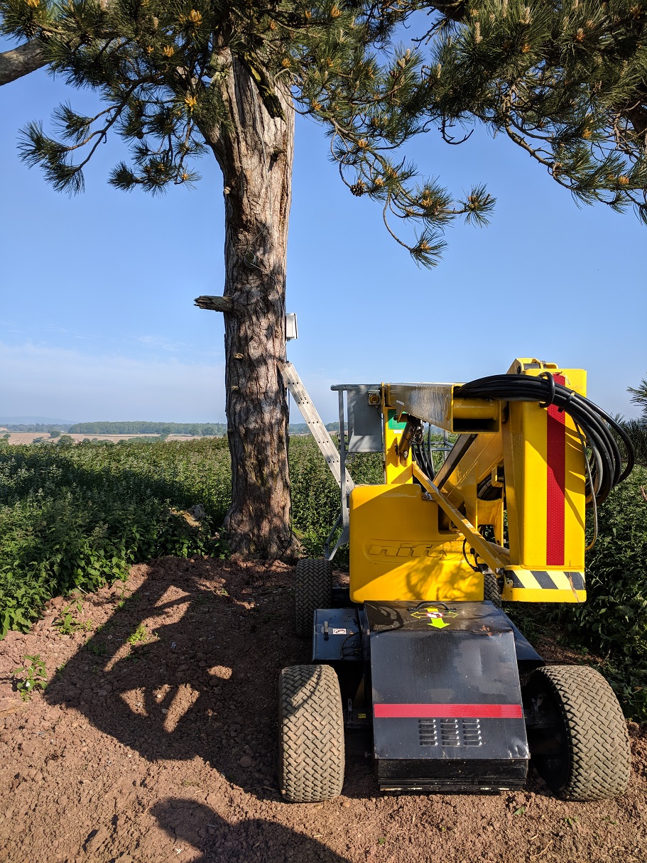 cherry picker